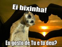 /album/rindo-no-maximo/a401858-565732290125216-1712056125-n-jpg/