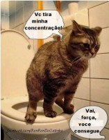 /album/rindo-no-maximo/a960224-680821685286099-522634787-n-jpg/