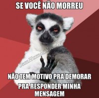 /album/rindo-no-maximo/a1000593-310546435749228-999267040-n-jpg/