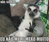 /album/rindo-no-maximo/a1011679-636239189789288-1450346206-n-png/